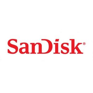 SanDisk-logo