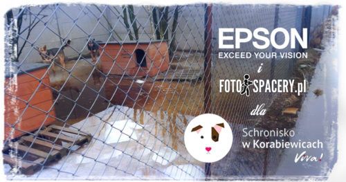 EPSON-i-Fotospacery-dla-Schroniska_jpg.jpg